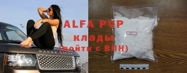 СК Ельня