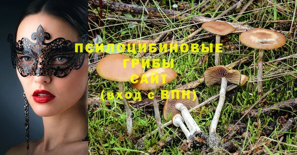 трава Елабуга