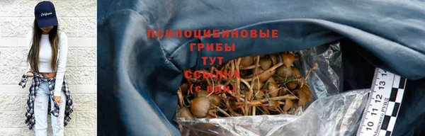 СК Ельня