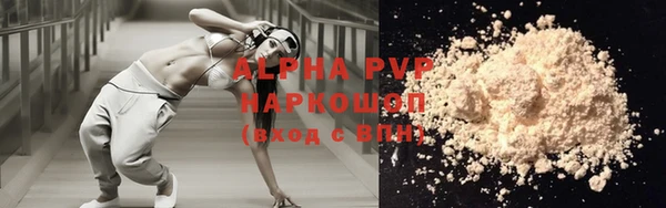 СК Ельня