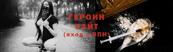 СК Ельня