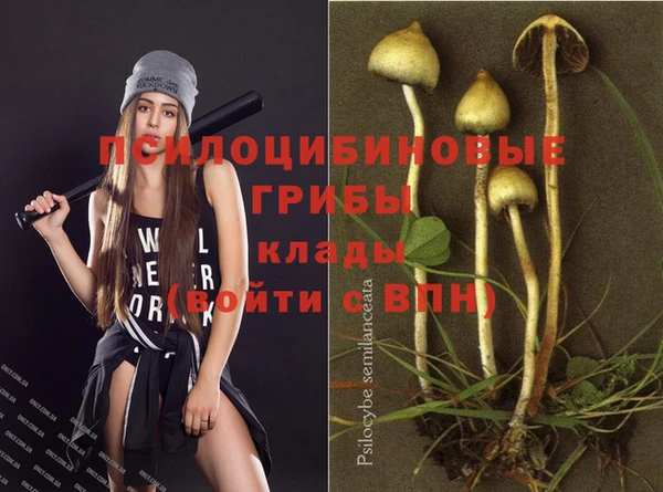прущие грибы Струнино