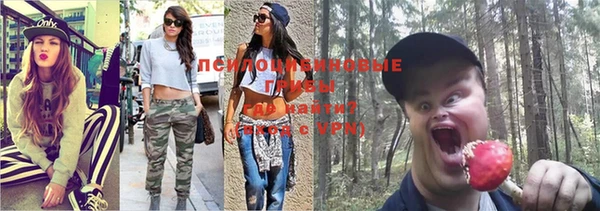 ПСИЛОЦИБИНОВЫЕ ГРИБЫ Строитель
