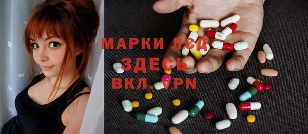 СК Ельня