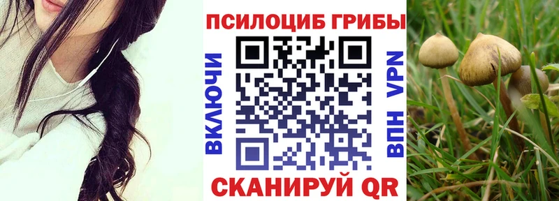 Галлюциногенные грибы GOLDEN TEACHER  Коломна 
